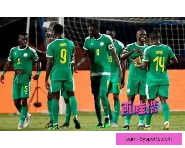 塞内加尔世界杯精彩回顾：非洲雄狮展现拼搏精神与赛场辉煌